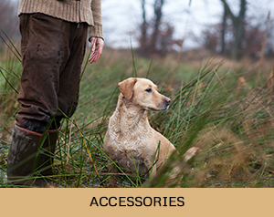 Gundog shop gundog training accessories