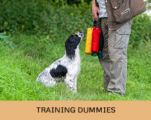 gundog training equipment and dummies