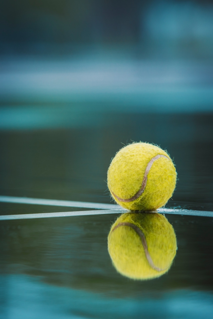 Tennis balls are bad for dogs teeth