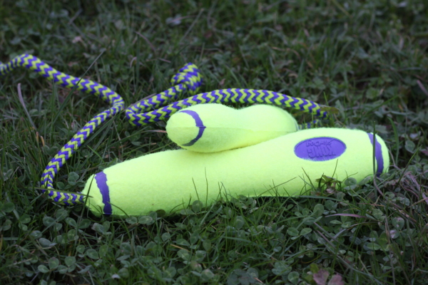 Tennis ball training dummy puppy