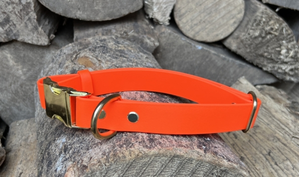 Biothane dog collar in fluro orange