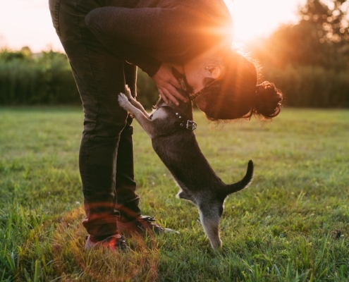 Owner and dog