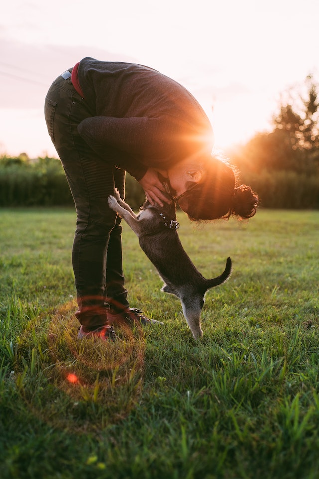 Owner and dog